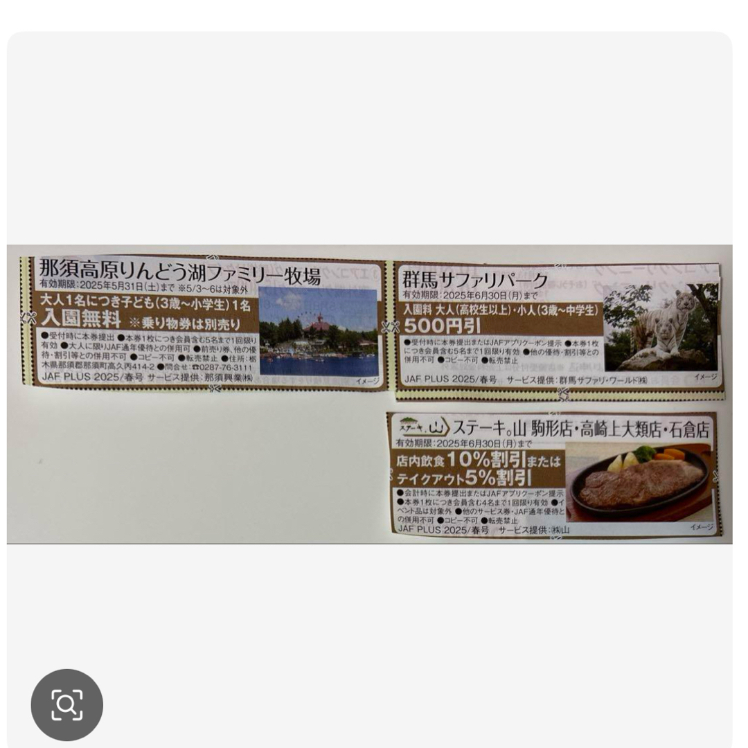 群馬サファリパーク 割引券 チケットの施設利用券(遊園地/テーマパーク)の商品写真