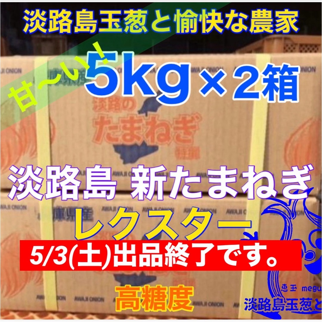 淡路島産 新玉ねぎレクスター5kg×2箱 高糖度 新たまねぎ 新玉葱 淡路島産 新玉ねぎレクスター5kg×2箱 高糖度 新たまねぎ 新玉葱