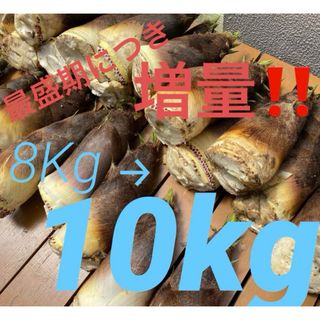 たけのこ☆10kgまで箱に入るだけ‼️☆和歌山産の通販 by じゃす たけのこ☆10kgまで箱に入るだけ‼️☆和歌山産の通販 by じゃす