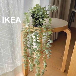 IKEA - フェイクグリーン 大麻 マリファナ CBD 造花 観葉植物 IKEA - フェイクグリーン 大麻 マリファナ CBD 造花 観葉植物