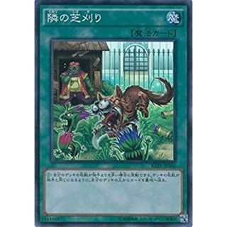 遊戯王OCG 隣の芝刈り スーパーレア RATE-JP066-SR 遊☆戯☆王ARC-V [レイジング・テンペスト] 2zzhgl6(Box/デッキ/パック)