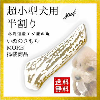 天然 鹿の角のフリマアイテム一覧 天然 鹿の角のフリマアイテム一覧