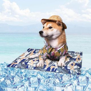 訳あり❤️ペットクールマット 犬・猫・うさぎ用 中型 熱中症対策 防水防カビ(犬)