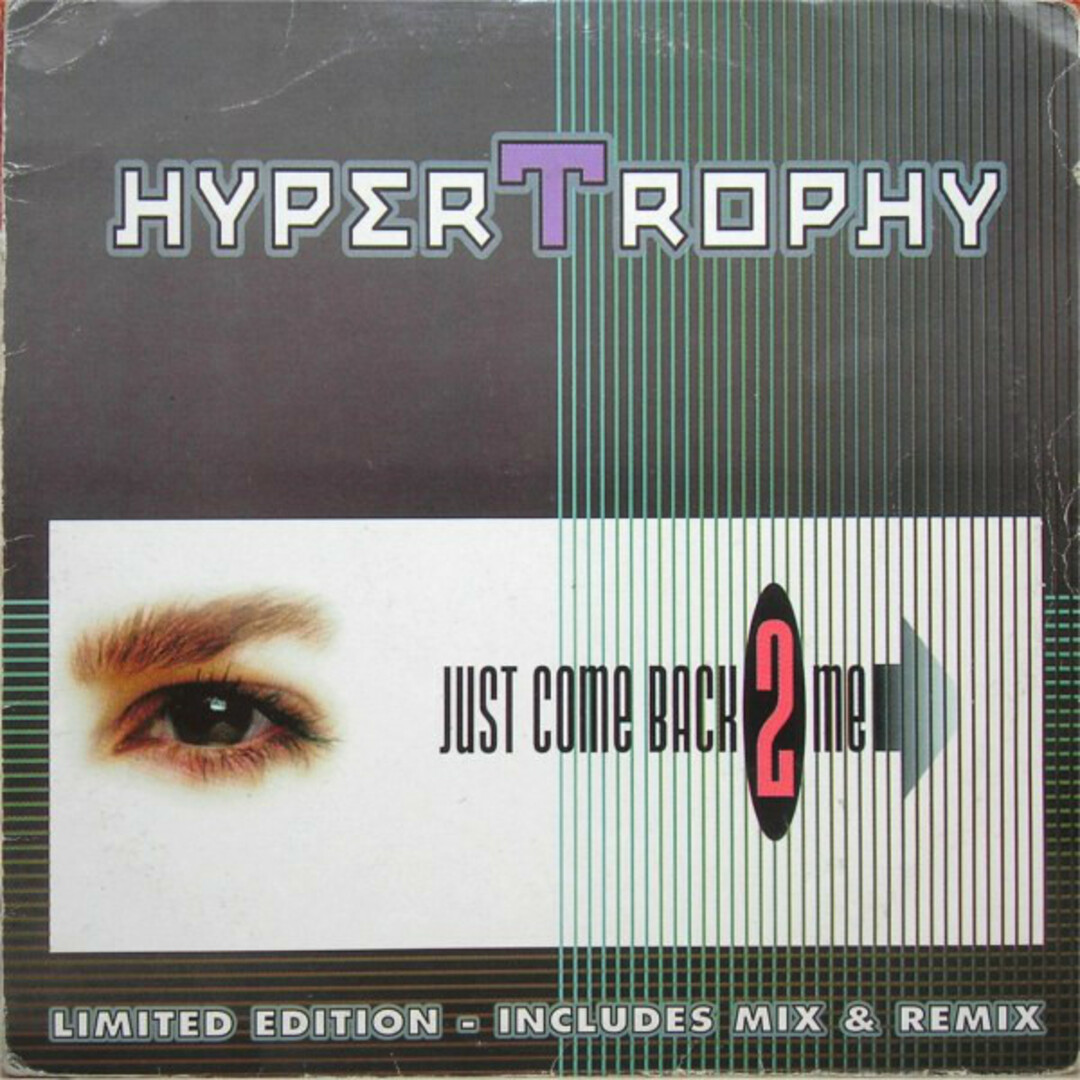 伊12" Hypertrophy Just Come Back 2 Me DIY1397 Do It Yourself Entertainment /00250 エンタメ/ホビーのエンタメ その他(その他)の商品写真