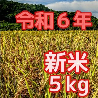 自然栽培の大粒米ダイヤ/農薬 栽培期間中不使用 玄米10kg 自然栽培の大粒米ダイヤ/農薬 栽培期間中不使用 玄米10kg