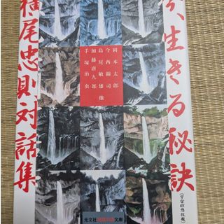 CUTE BEAT PRESS vol.30 1990年 2月号 チェッカーズファンクラブ CUTE BEAT PRESS vol.30 1990年 2月号 チェッカーズファンクラブ