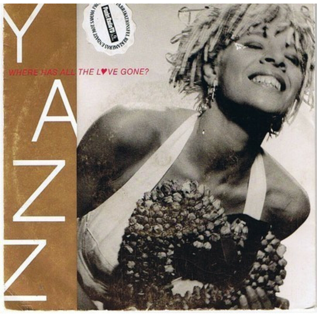 英12” Yazz Where Has All The Love Gone? BLR8 Big Life /00250 エンタメ/ホビーのエンタメ その他(その他)の商品写真