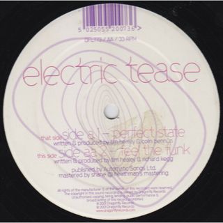 英12” Electric Tease Perfect State / Feel The Funk DFLT73 Kamaflage /00250(その他)