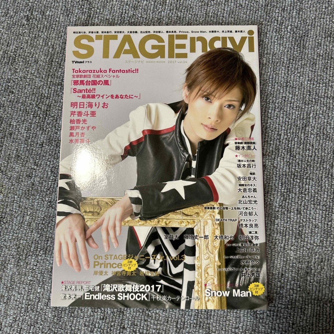 STAGE navi 2017 vol.14 エンタメ/ホビーの本(アート/エンタメ)の商品写真