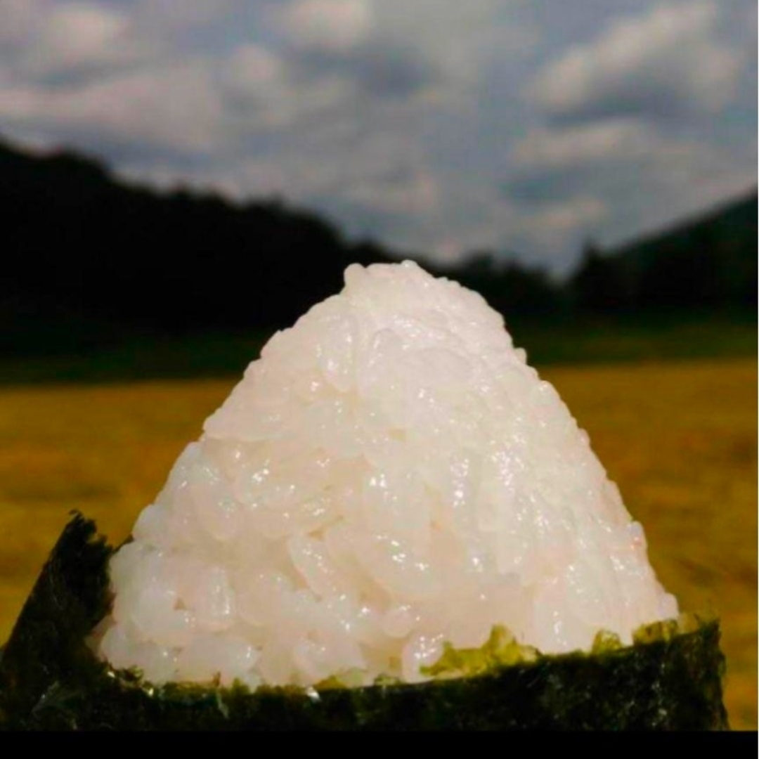 R6年収穫 新米 山口県産 コシヒカリ 農薬不使用 無肥料栽培米 R6年収穫 新米 山口県産 コシヒカリ 農薬不使用 無肥料栽培米