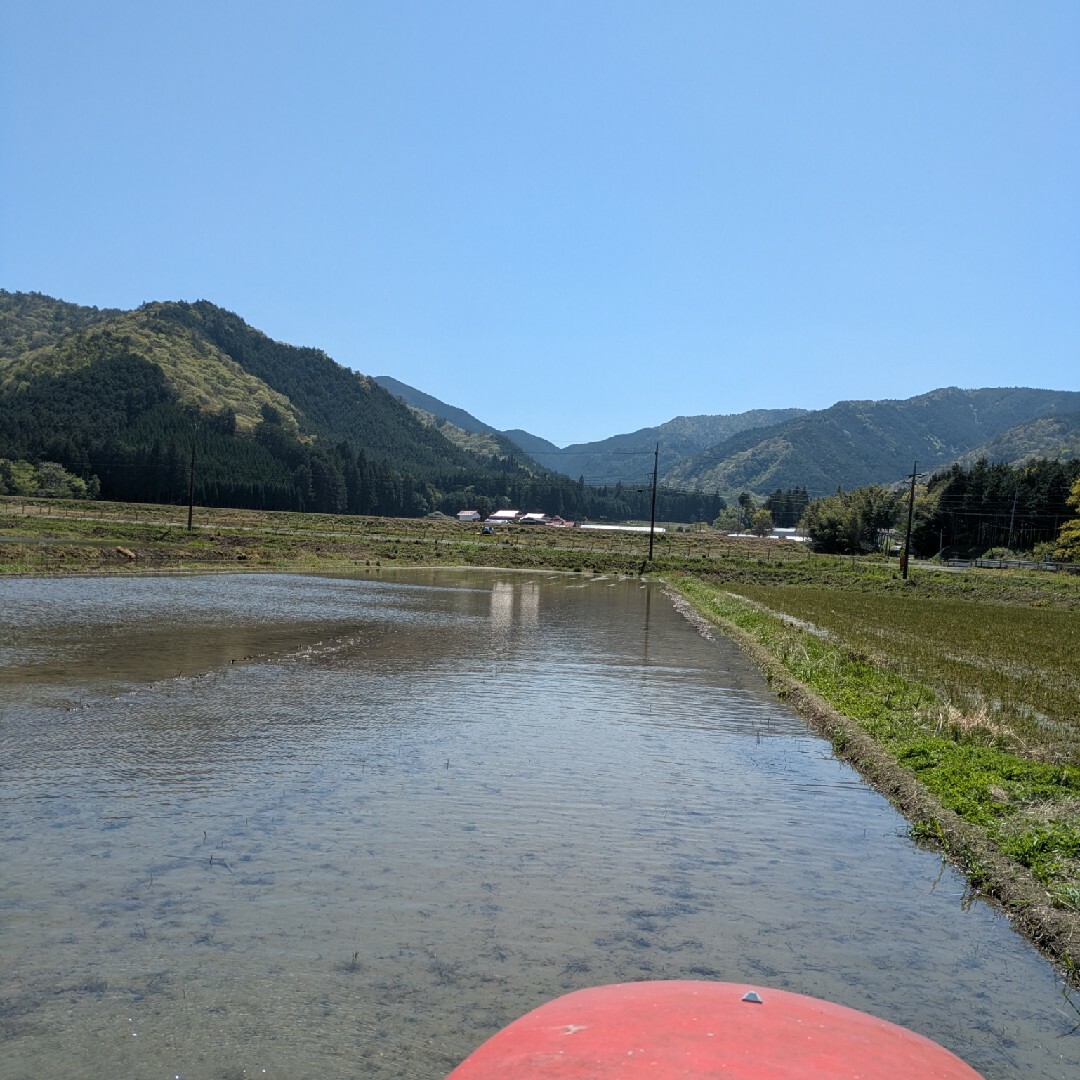 R6年収穫 新米 山口県産 コシヒカリ 農薬不使用 無肥料栽培米 R6年収穫 新米 山口県産 コシヒカリ 農薬不使用 無肥料栽培米