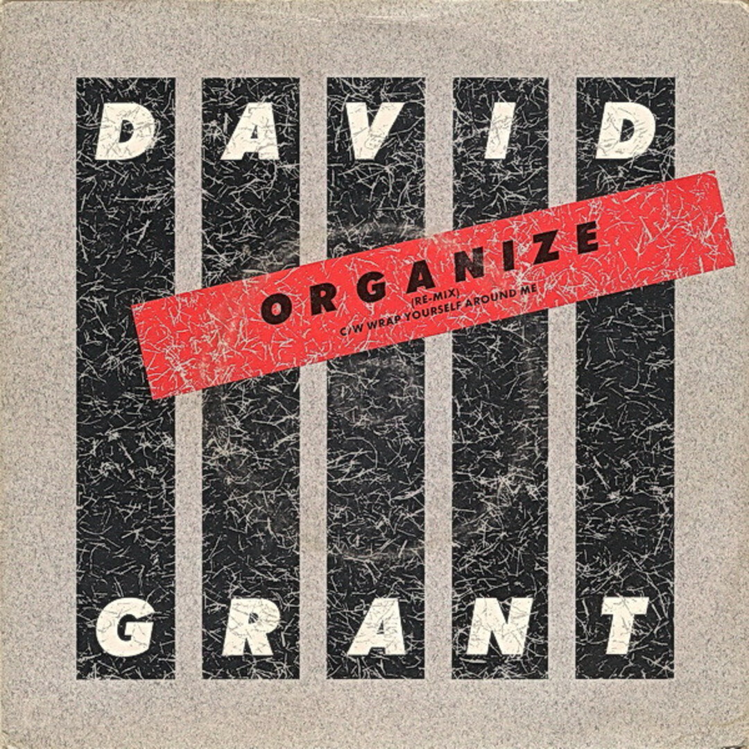 英7” David Grant Organize / Wrap Yourself Around Me GRAN5 Chrysalis /00080 エンタメ/ホビーのエンタメ その他(その他)の商品写真