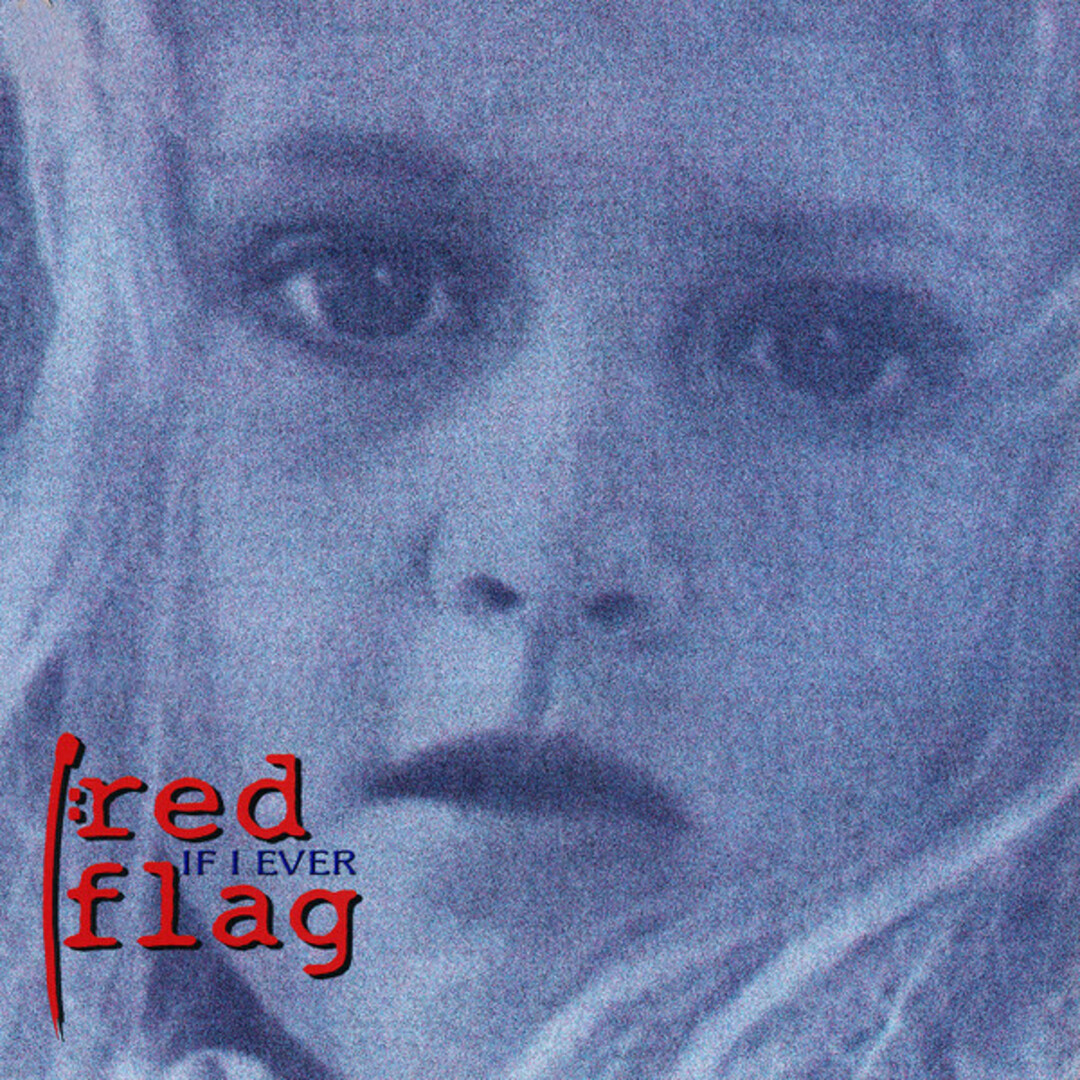 米12” Red Flag If I Ever 7755270 Enigma /00250 エンタメ/ホビーのエンタメ その他(その他)の商品写真