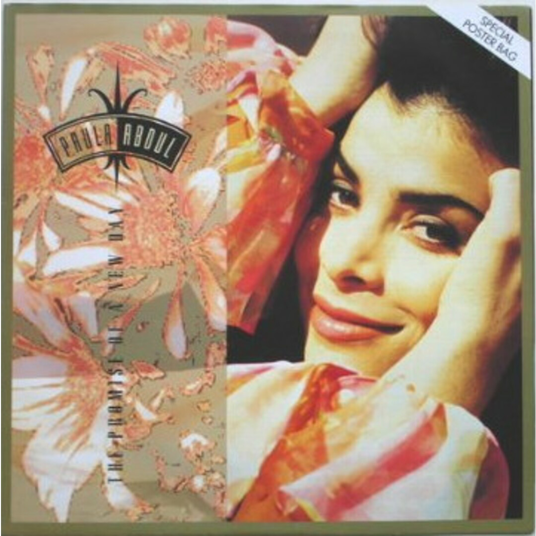 英12” Paula Abdul The Promise Of A New Day VUSTP44 Virgin /00390 エンタメ/ホビーのエンタメ その他(その他)の商品写真