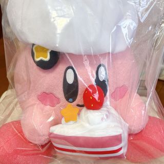 へんしんメタモン カイリュー ぬいぐるみ ポケモンの通販 by へんしんメタモン カイリュー ぬいぐるみ ポケモンの通販 by