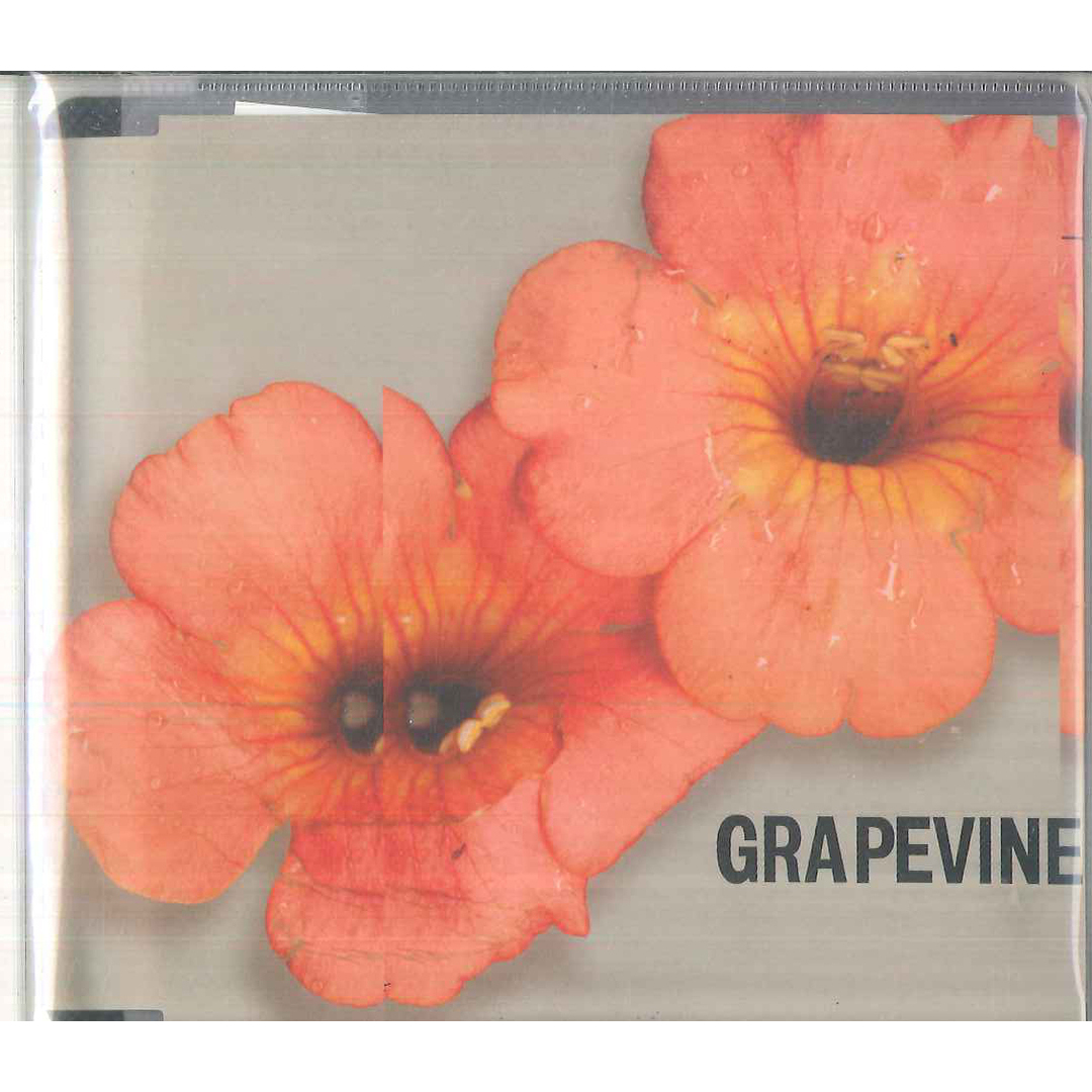 CD Grapevine 会いにいく PCCA01926PROMO PONY CANYON プロモ /00110 エンタメ/ホビーのCD(ポップス/ロック(邦楽))の商品写真