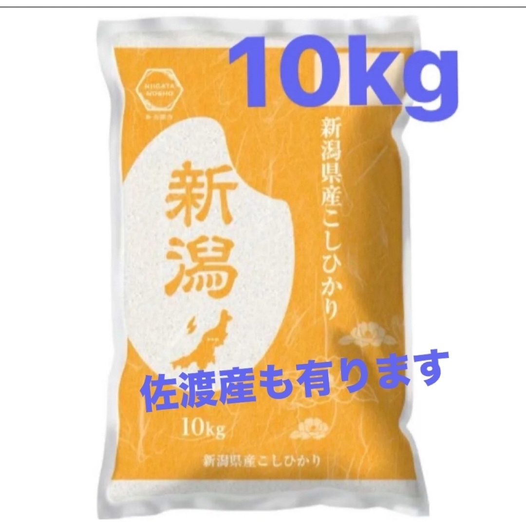 新潟県産 こしひかり 10kg 新米 白米 《4月26日限定価格》の通販 新潟県産 こしひかり 10kg 新米 白米 《4月26日限定価格》の通販