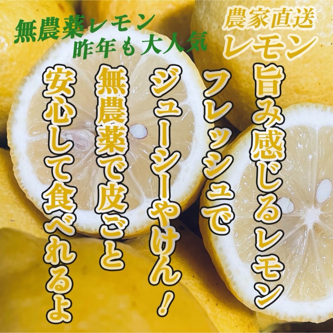 農薬不使用のレモン 10kg箱(アレンユーレカ)【愛媛の農家直送 農薬不使用のレモン 10kg箱(アレンユーレカ)【愛媛の農家直送