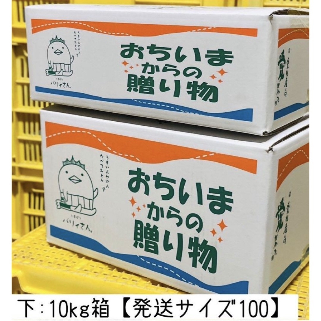 農薬不使用のレモン 10kg箱(アレンユーレカ)【愛媛の農家直送 農薬不使用のレモン 10kg箱(アレンユーレカ)【愛媛の農家直送