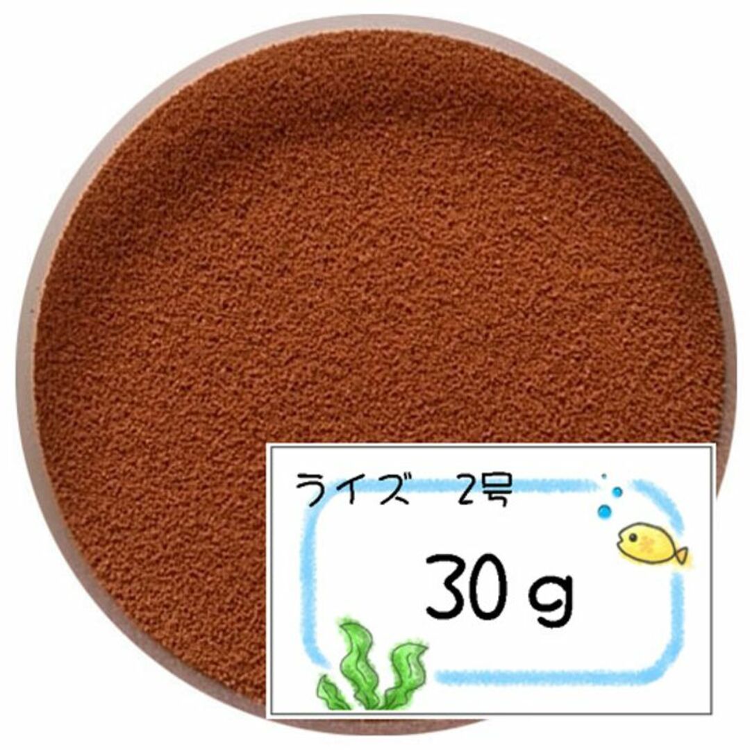 日清丸紅飼料ライズ2号(~0.36mm)30g/沈下性メダカのごはんに 日清丸紅飼料ライズ2号(~0.36mm)30g/沈下性メダカのごはんに