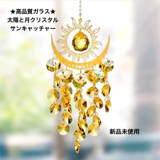 種子】Brahea Super Silver☆ブラヘア・スーパーシルバー◇5粒 種子】Brahea Super Silver☆ブラヘア・スーパーシルバー◇5粒