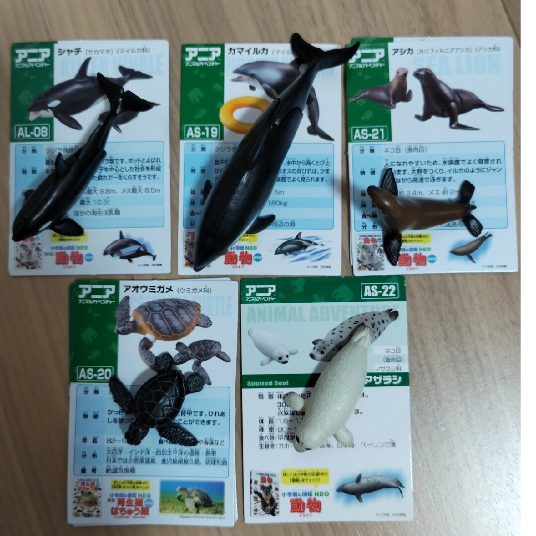 Ania(TAKARA Tomy)(アニア)のトミー アニア シャチ カマイルカ アシカ アオウミガメ アザラシ セット エンタメ/ホビーのフィギュア(その他)の商品写真