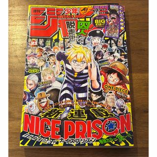 初版!!ポケットモンスターpipipi・アドベンチャー 8の通販 by 初版!!ポケットモンスターpipipi・アドベンチャー 8の通販 by