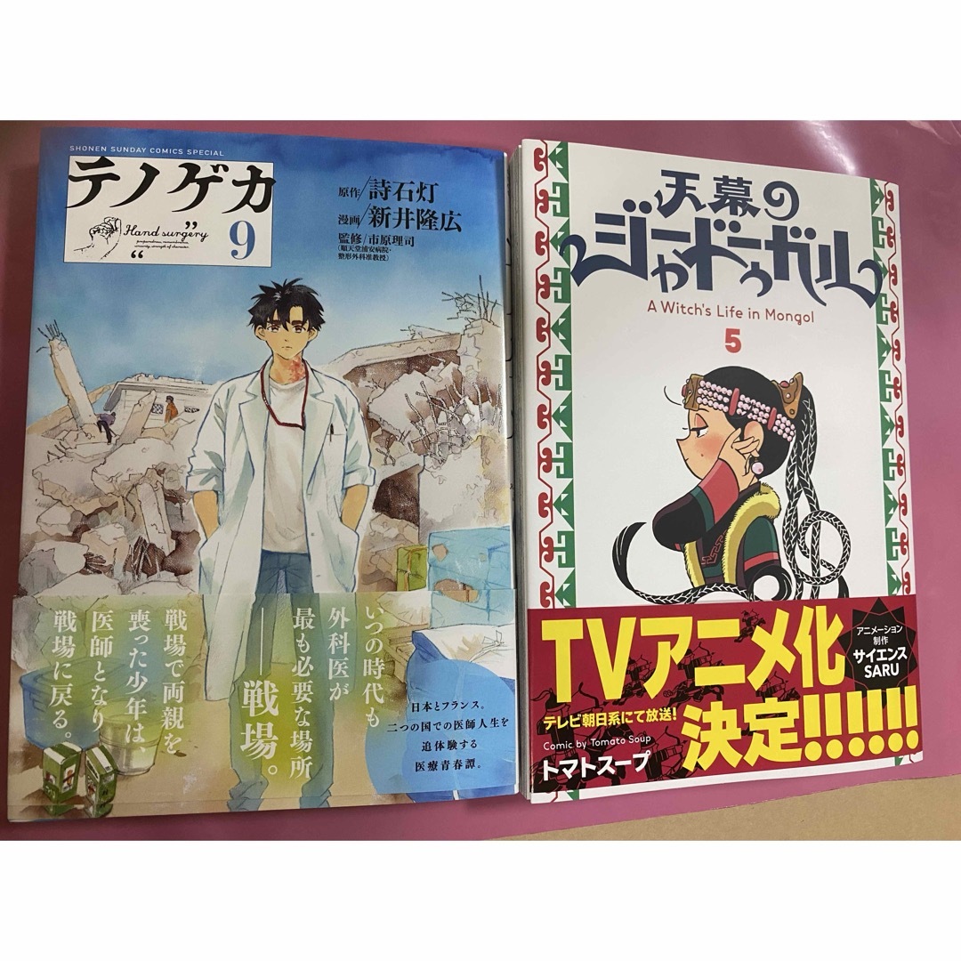 秋田書店(アキタショテン)の【専用出品】天幕のジャードゥーガル & テノゲカ エンタメ/ホビーの漫画(その他)の商品写真