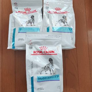 ロイヤルカナン セレクトスキンケア 3kg 犬用療法食(ペットフード)