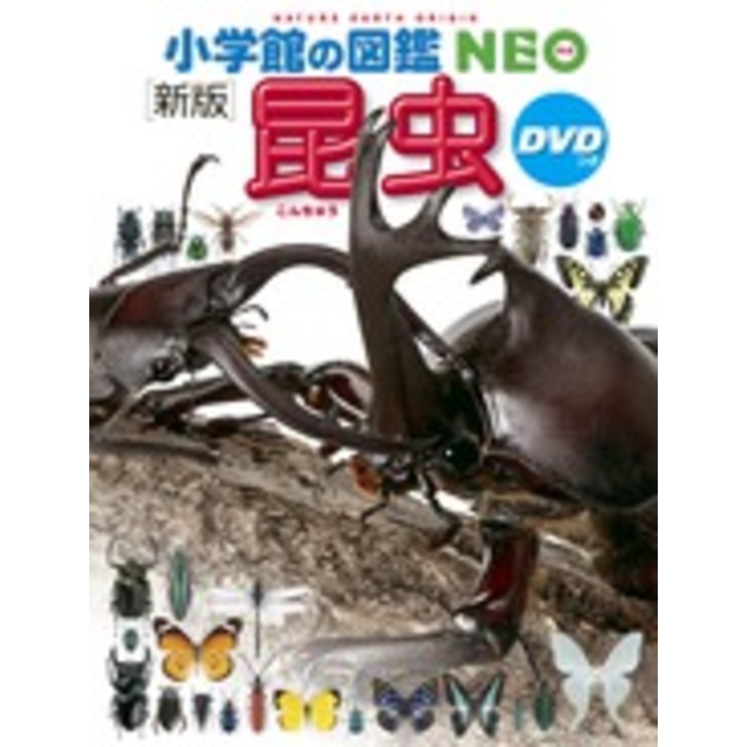 昆虫 新版/小学館/小池啓一(大型本) エンタメ/ホビーの本(絵本/児童書)の商品写真