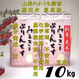 ミルキープリンセスが自然栽培/農薬 栽培期間中不使用 玄米 ミルキープリンセスが自然栽培/農薬 栽培期間中不使用 玄米