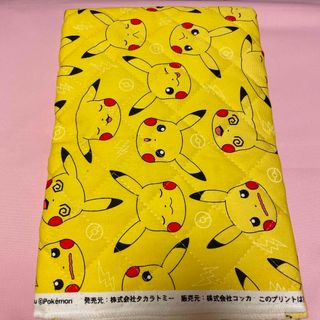 ポケモン - ポケモン 初期キバナぬいぐるみ pokemonトレーナーズ ポケモン - ポケモン 初期キバナぬいぐるみ pokemonトレーナーズ