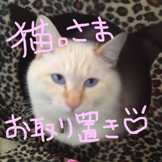 アクシーズファム(axes femme)の猫。さま♡お取り置き(ミニワンピース)