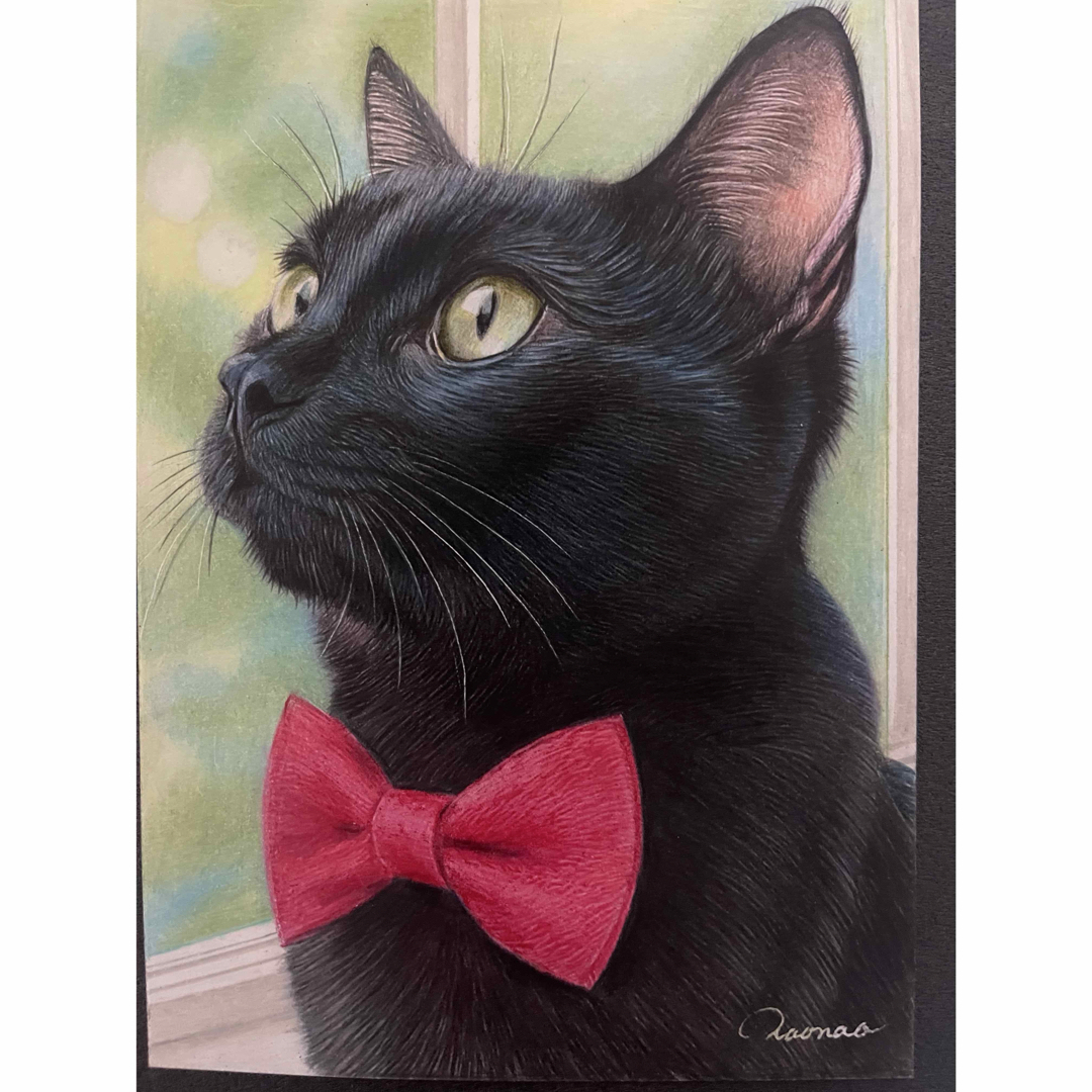 色鉛筆画.A5黒猫.10の通販 by naonao's shop|ラクマ 色鉛筆画.A5黒猫.10の通販 by naonao's shop|ラクマ