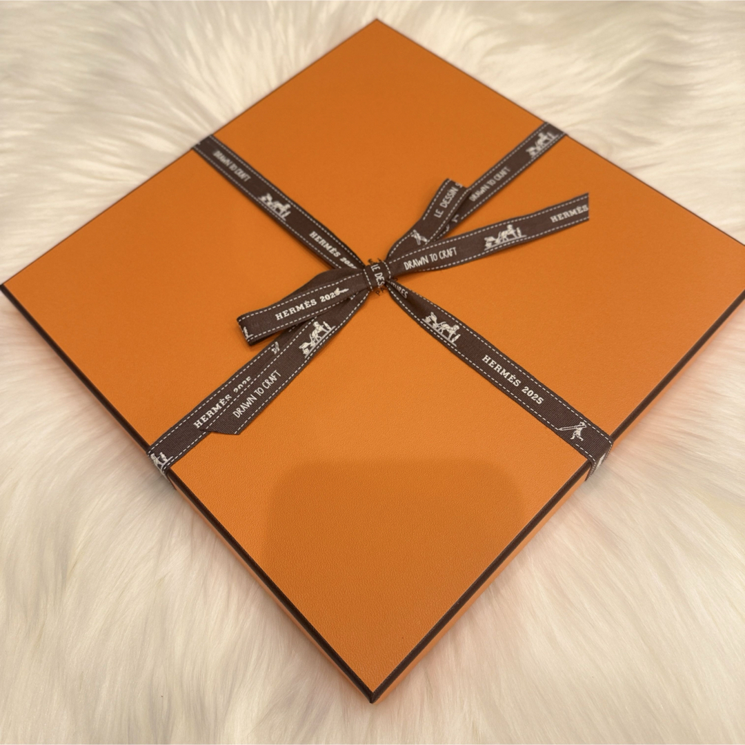 HERMES - 【新品未使用】エルメス カレ 90 《プリーズ・ホールド HERMES - 【新品未使用】エルメス カレ 90 《プリーズ・ホールド