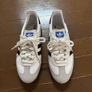 adidas - アディダス オリジナルス マドンナ ドット パーカー adidas - アディダス オリジナルス マドンナ ドット パーカー
