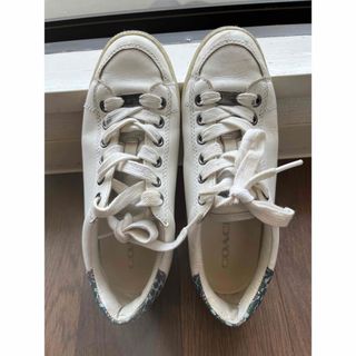 COACH - コーチ テックランナー ピンク スニーカーの通販 by COACH - コーチ テックランナー ピンク スニーカーの通販 by