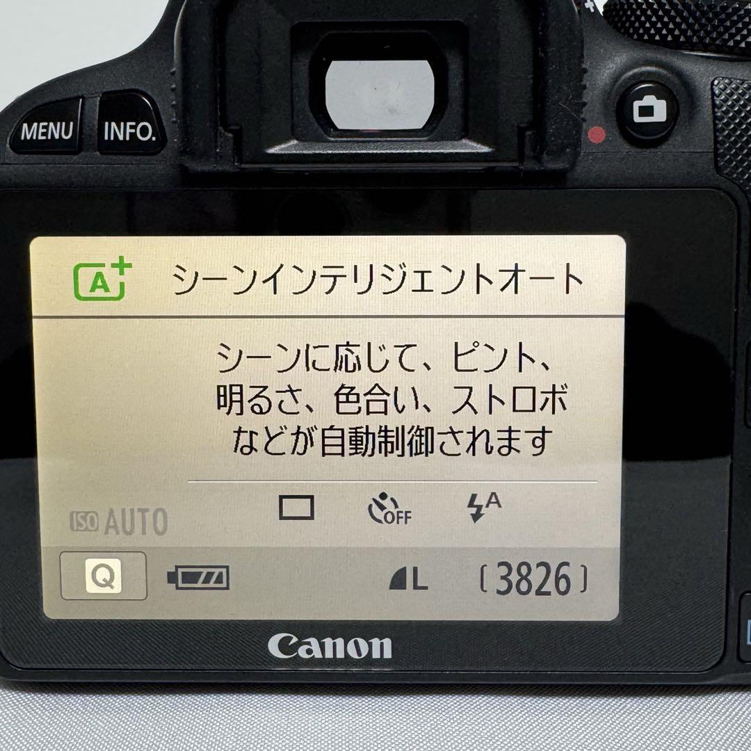 Canon - 超望遠✨️ Canon Kiss X7 ダブルレンズキット 手ぶれ Canon - 超望遠✨️ Canon Kiss X7 ダブルレンズキット 手ぶれ
