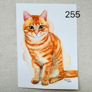 猫の絵255 水彩画 原画 茶トラの通販 by yui's shop|ラクマ 猫の絵255 水彩画 原画 茶トラの通販 by yui's shop|ラクマ