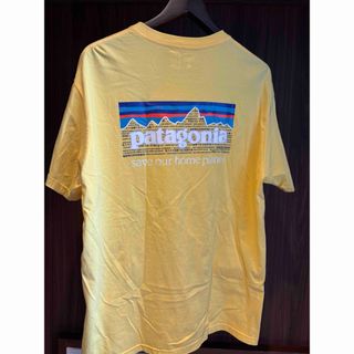 patagonia - patagonia ダウンジャケット 40周年記念モデルの patagonia - patagonia ダウンジャケット 40周年記念モデルの