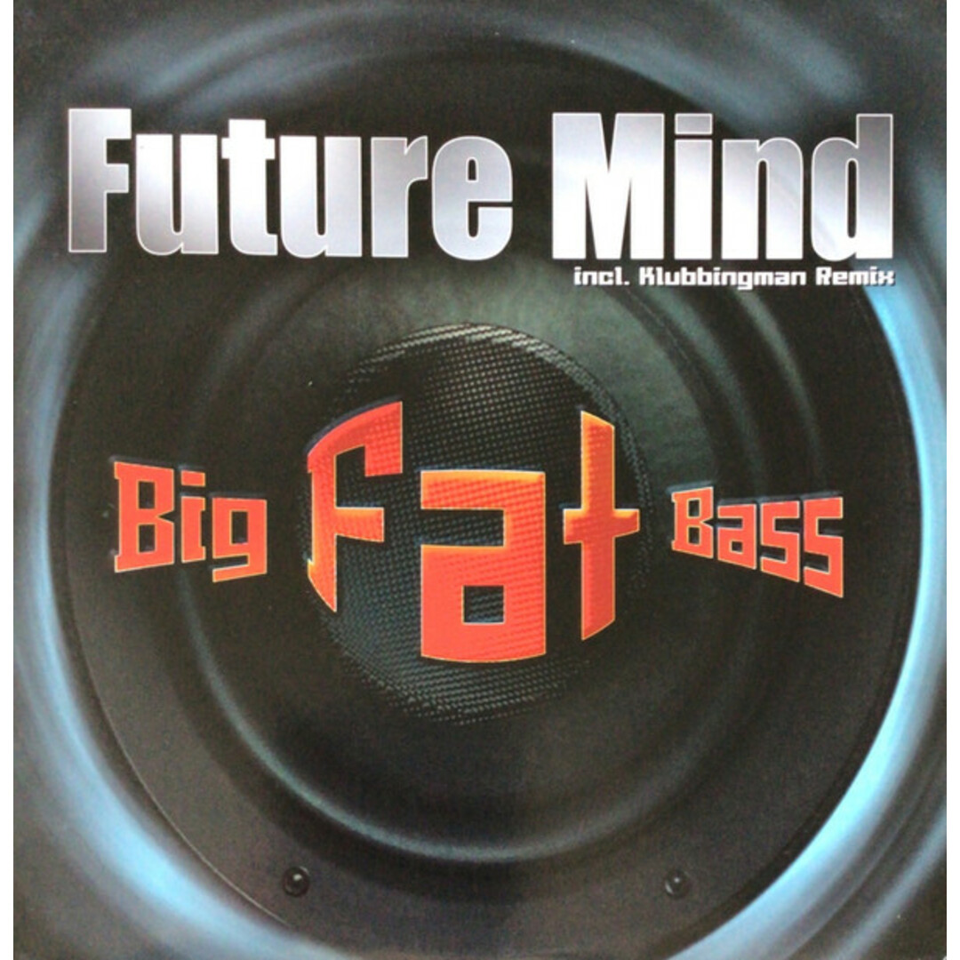 独12" Future Mind Big Fat Bass EPC6744856 Epic /00250 エンタメ/ホビーのエンタメ その他(その他)の商品写真
