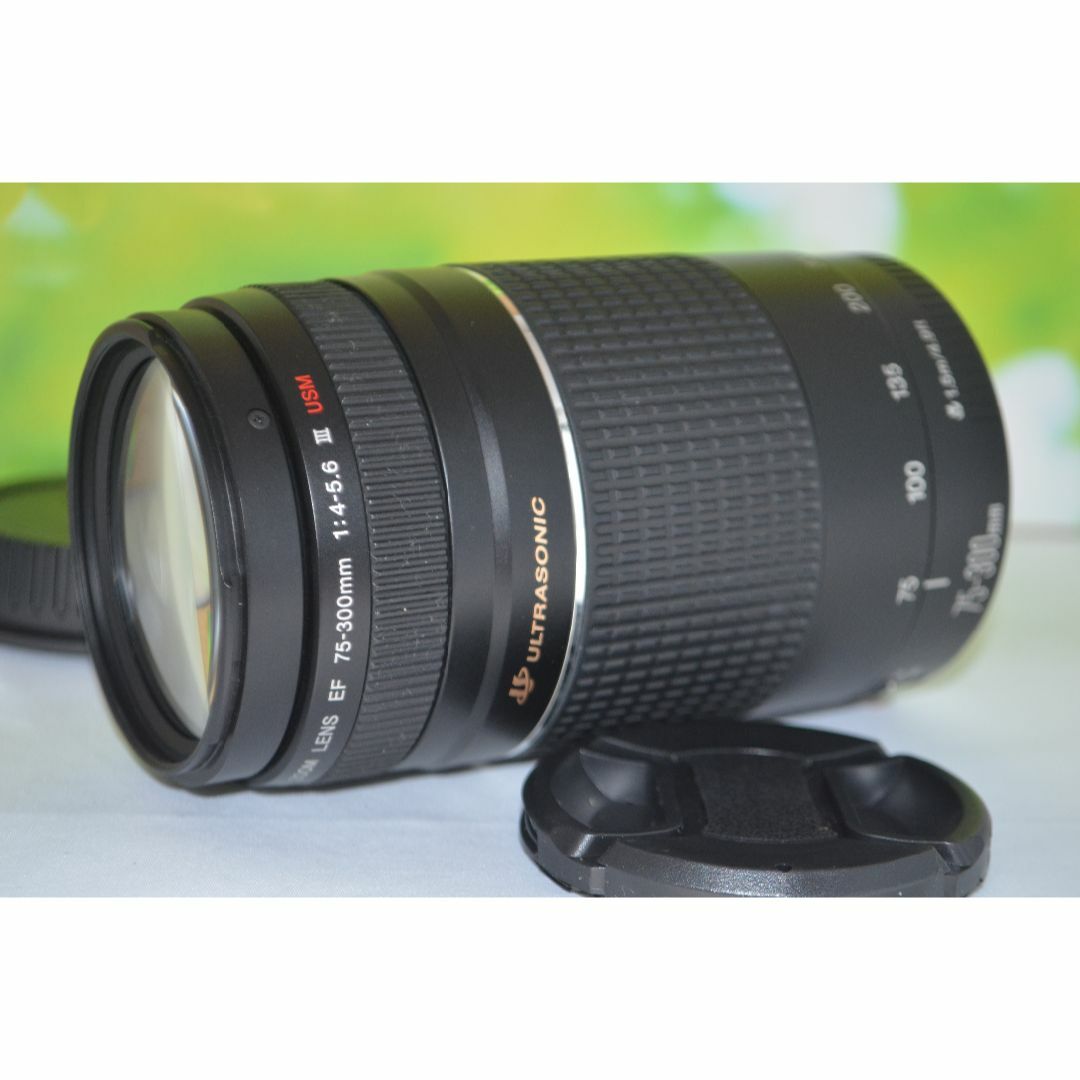 Canon - ❤️新品級❤️300mm超望遠レンズ❤️ CANON EF 75 Canon - ❤️新品級❤️300mm超望遠レンズ❤️ CANON EF 75