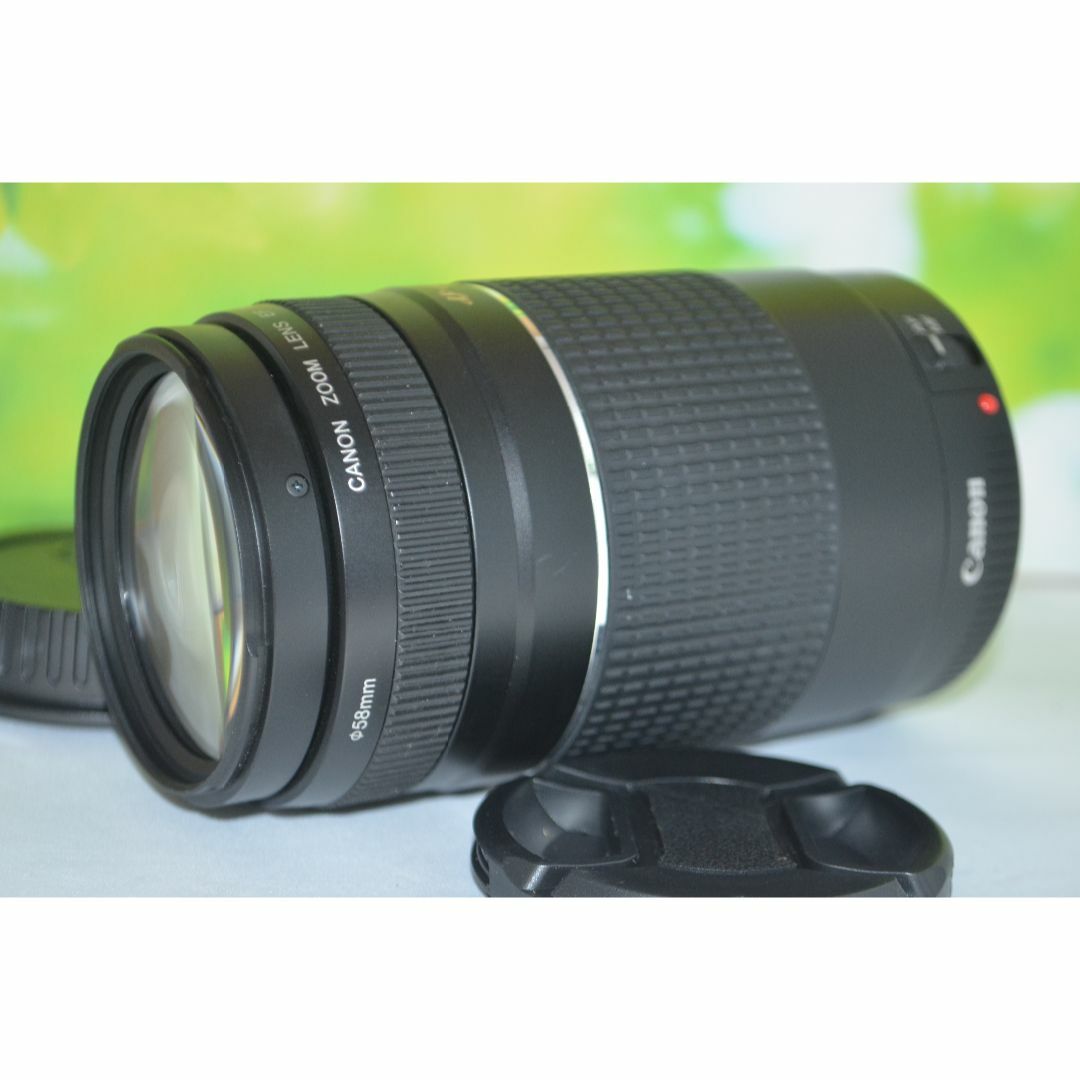 Canon - ❤️新品級❤️300mm超望遠レンズ❤️ CANON EF 75 Canon - ❤️新品級❤️300mm超望遠レンズ❤️ CANON EF 75