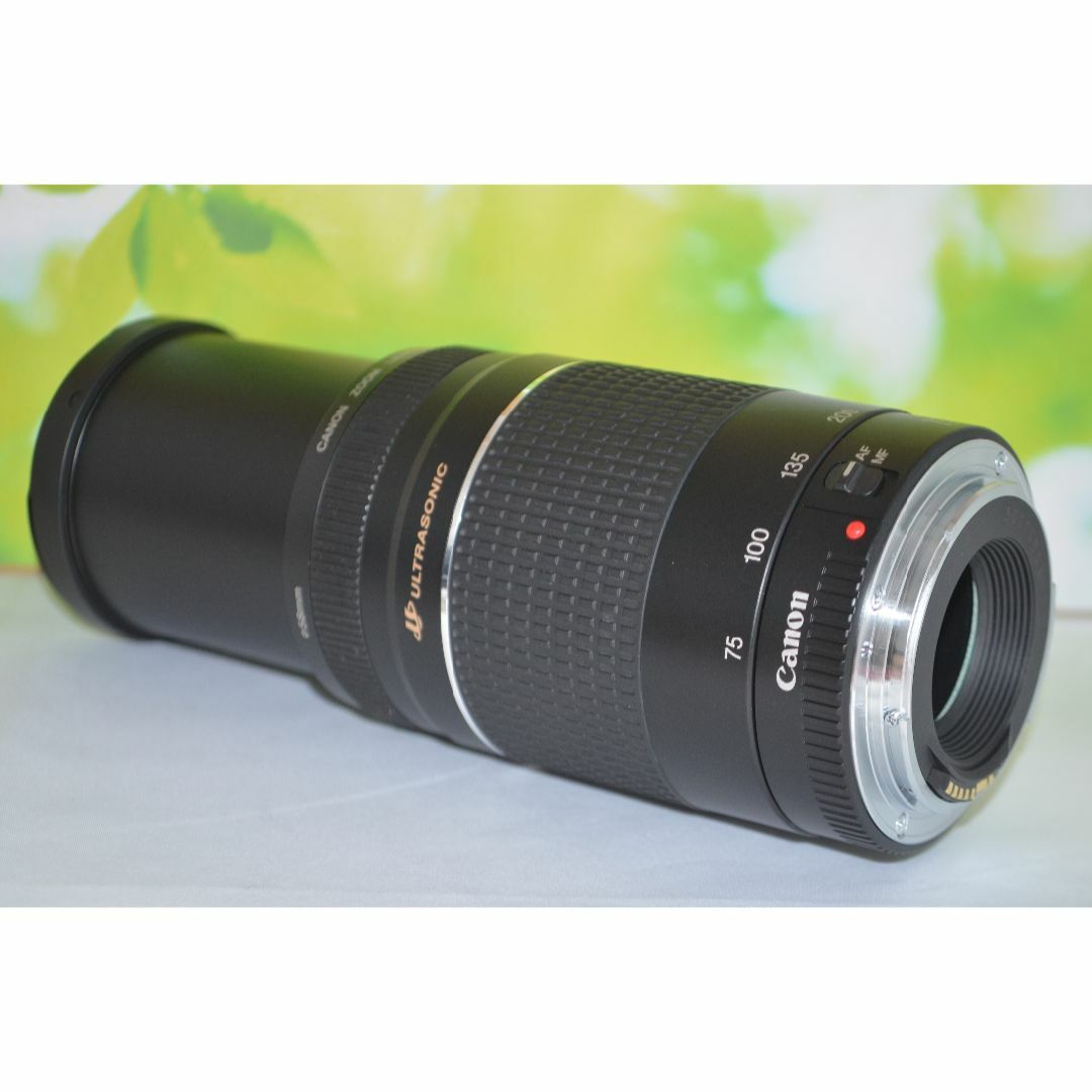 Canon - ❤️新品級❤️300mm超望遠レンズ❤️ CANON EF 75 Canon - ❤️新品級❤️300mm超望遠レンズ❤️ CANON EF 75