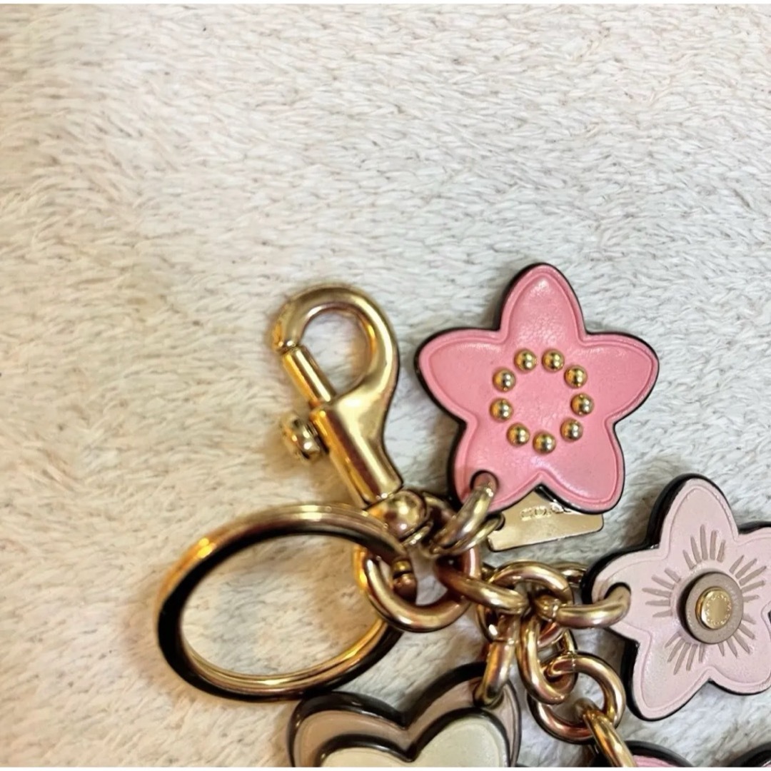 COACH - 美品 コーチ ワイルドフラワー キーホルダー バッグ COACH - 美品 コーチ ワイルドフラワー キーホルダー バッグ