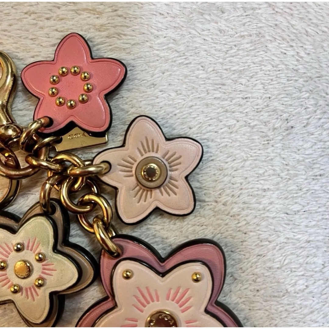 COACH - 美品 コーチ ワイルドフラワー キーホルダー バッグ COACH - 美品 コーチ ワイルドフラワー キーホルダー バッグ