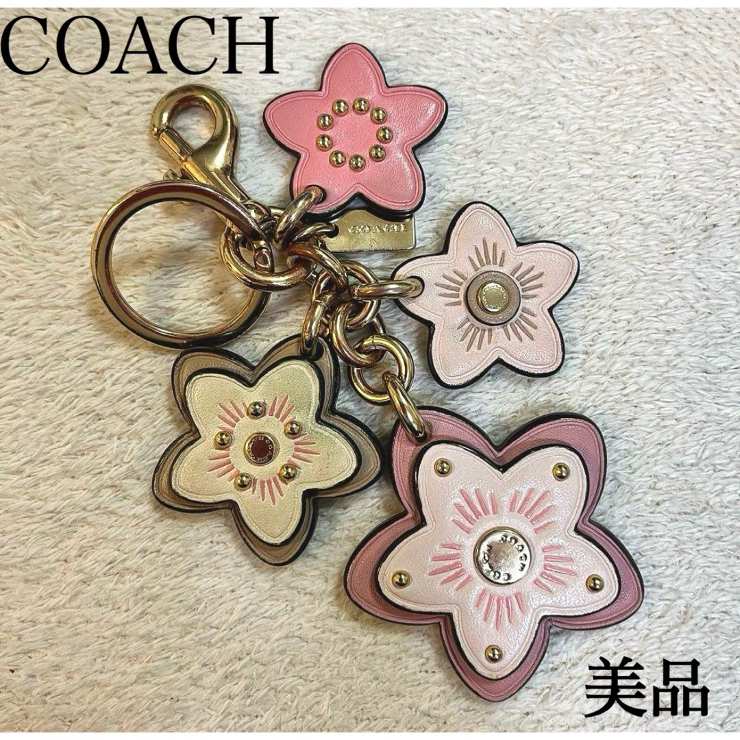 COACH - 美品 コーチ ワイルドフラワー キーホルダー バッグ COACH - 美品 コーチ ワイルドフラワー キーホルダー バッグ