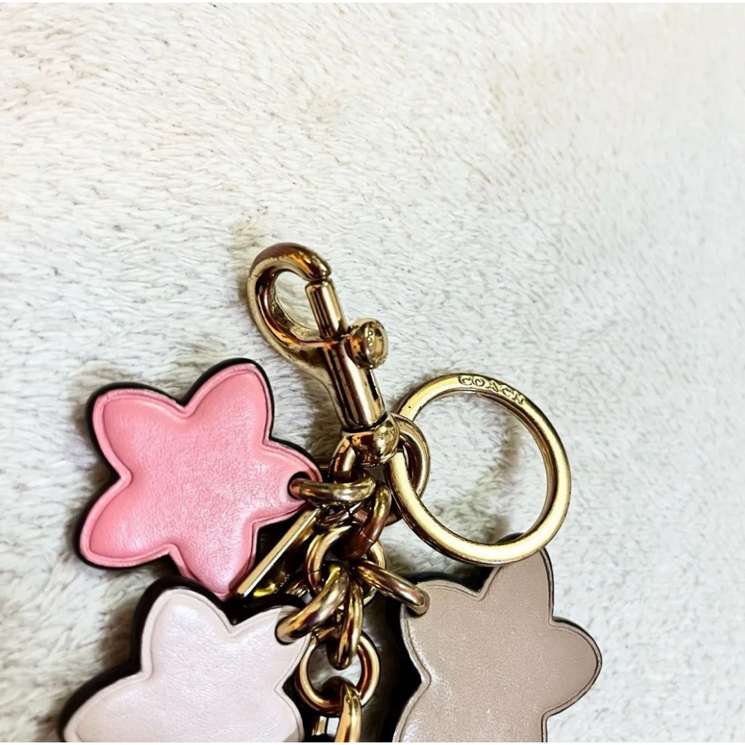 COACH - 美品 コーチ ワイルドフラワー キーホルダー バッグ COACH - 美品 コーチ ワイルドフラワー キーホルダー バッグ