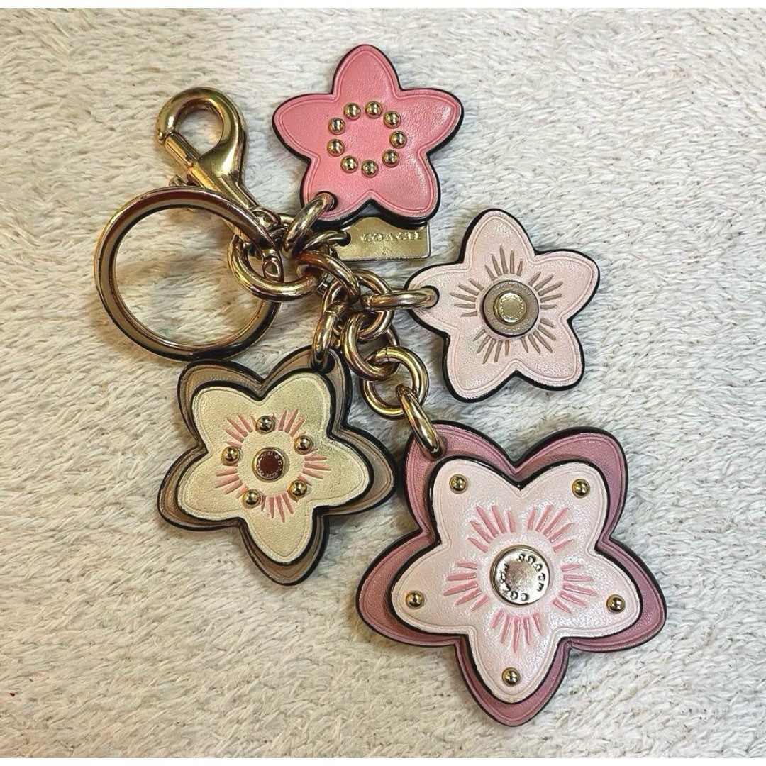 COACH - 美品 コーチ ワイルドフラワー キーホルダー バッグ COACH - 美品 コーチ ワイルドフラワー キーホルダー バッグ