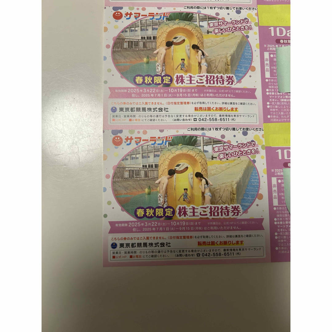 東京サマーランド 株主優待券 2025年10月19日まで 12枚の通販 by 東京サマーランド 株主優待券 2025年10月19日まで 12枚の通販 by